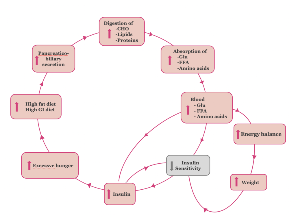 a diagram of a diagram