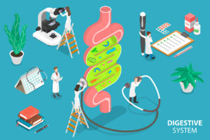 Is the Gut the “Sweet Spot” for the Treatment of Diabetes? A New Story of How Type 2 Diabetes Really Begins