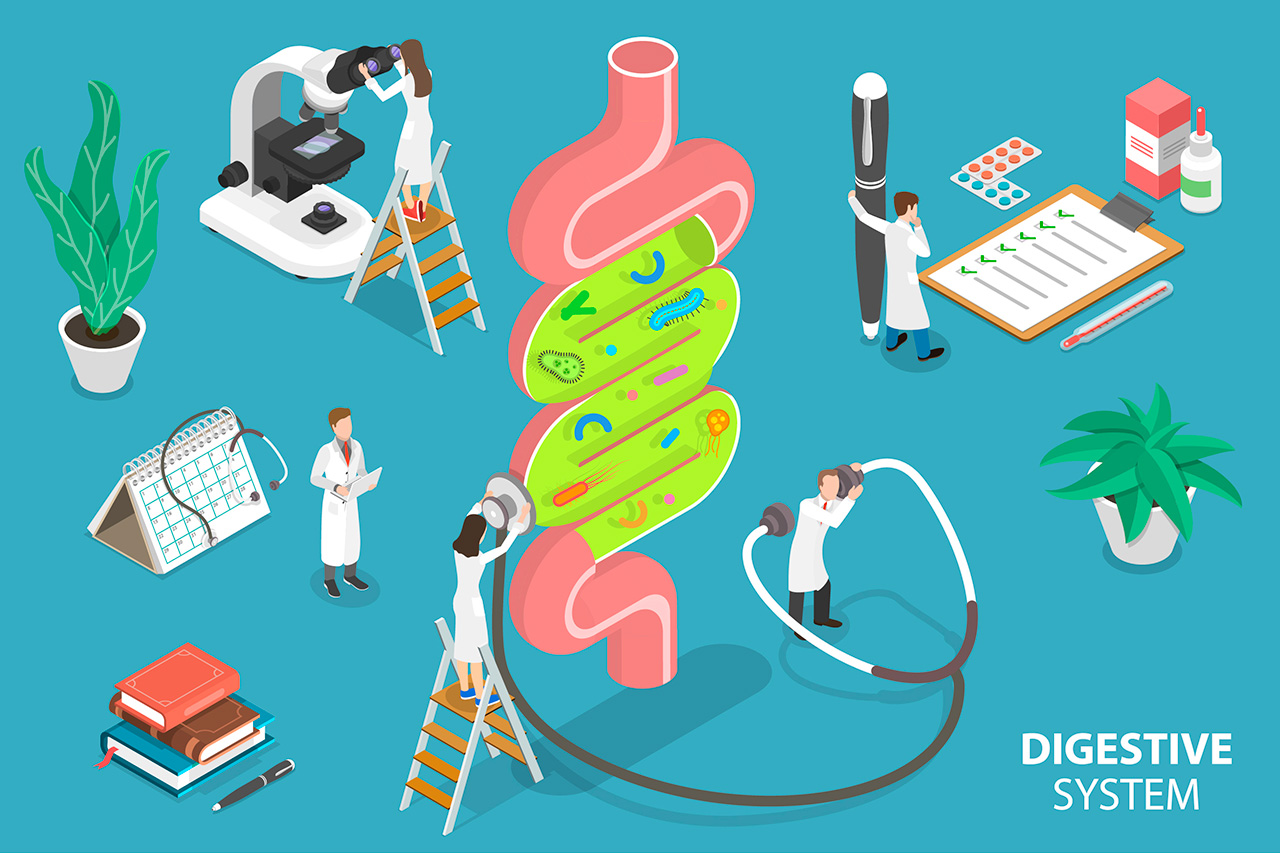 Is the Gut the “Sweet Spot” for the Treatment of Diabetes? A New Story of How Type 2 Diabetes Really Begins