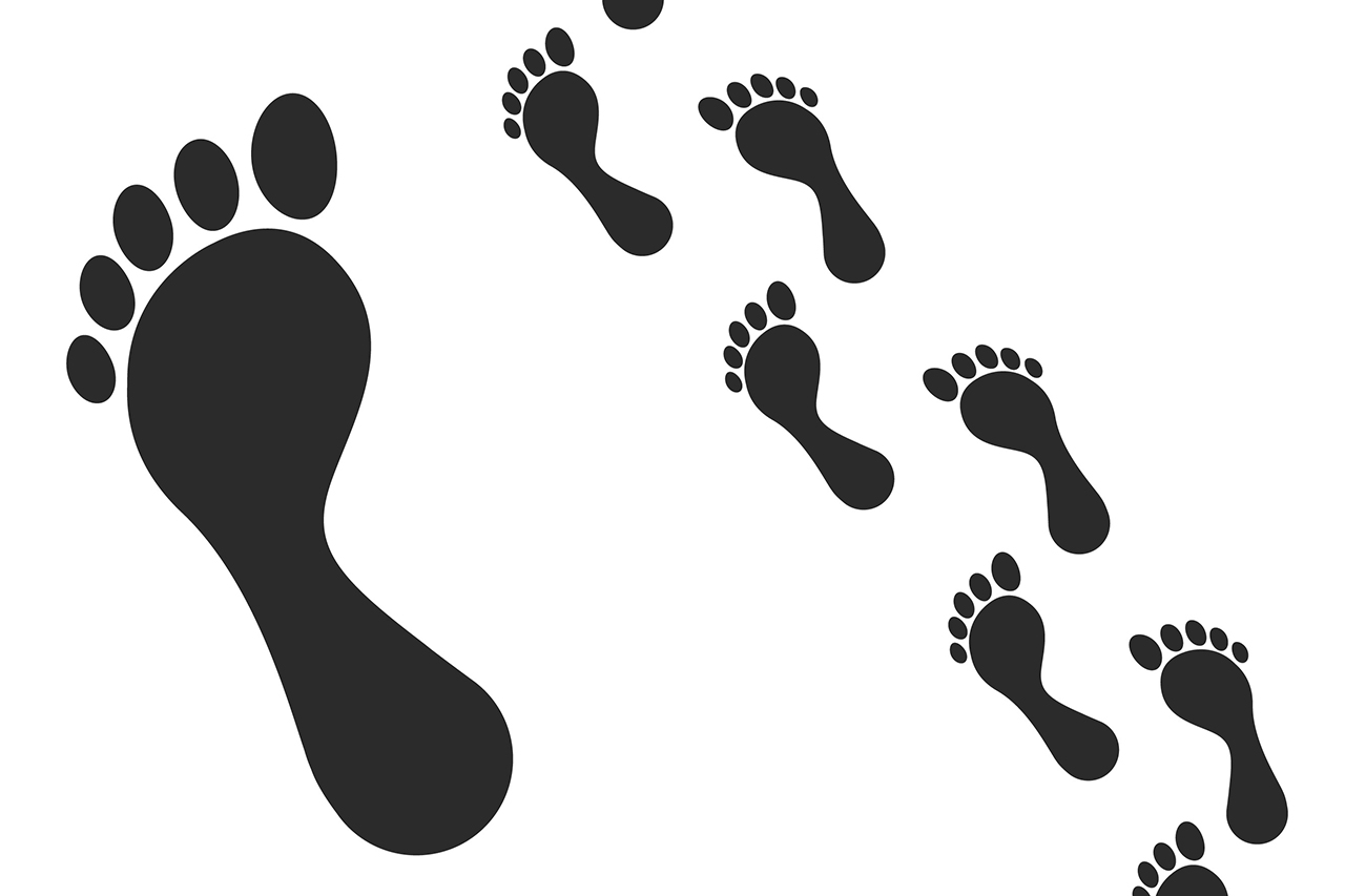 Diabetic Foot Osteomyelitis: Can the Foot Be Saved? Symptoms, Diagnosis and Limb-Sparing Surgery
