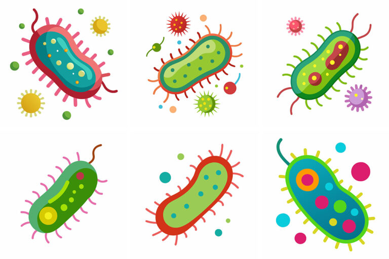 Antibiotics for Diabetic Foot Infections